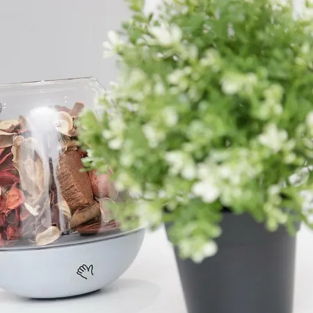 Апартаменты House